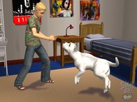 The Sims 2: Pets screenshot, image №457883 - RAWG