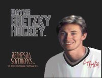 Wayne Gretzky Hockey screenshot, image №738605 - RAWG