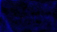 Particle Soup screenshot, image №1074012 - RAWG