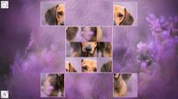 Puzzle Art: Dogs screenshot, image №3037753 - RAWG