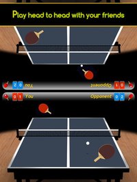 iPingpong 3D screenshot, image №1679819 - RAWG