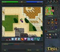 Tibia screenshot, image №405067 - RAWG