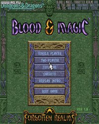 Blood & Magic screenshot, image №313212 - RAWG