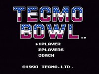 Tecmo Bowl screenshot, image №259448 - RAWG
