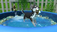 Little Friends: Puppy Island screenshot, image №3900718 - RAWG