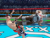 Real Wrestling Revolution 3d - World Wrestler Game screenshot, image №925951 - RAWG