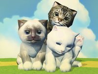 Cat Racing for Kids screenshot, image №971695 - RAWG