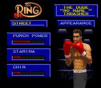 Boxing Legends of the Ring screenshot, image №758596 - RAWG
