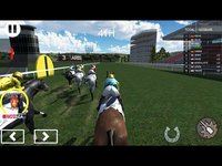 Horse Racer screenshot, image №1890756 - RAWG