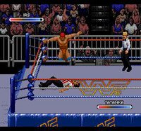 WWF Rage in the Cage screenshot, image №740435 - RAWG