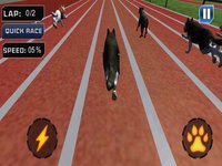 Extreme Crazy Dog Race 3D 2018 screenshot, image №1677900 - RAWG