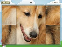 Animal Slide Image Puzzle screenshot, image №951617 - RAWG