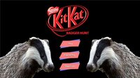 Kit Kat Badger Hunt screenshot, image №2506121 - RAWG