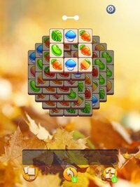 Zen Life: Tile Match Puzzles screenshot, image №3658178 - RAWG