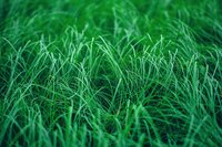 Touch Grass screenshot, image №3573140 - RAWG