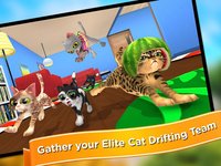 Team Drift Cats screenshot, image №1469216 - RAWG