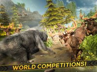 Bear Simulator 2016 . Wild Bears Simulation Games For Kids Free screenshot, image №1762111 - RAWG