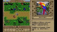 Worlds of Ultima: The Savage Empire screenshot, image №221178 - RAWG