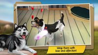 DogHotel - My boarding kennel screenshot, image №1522591 - RAWG