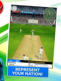 Cricket Megastar screenshot, image №1811841 - RAWG