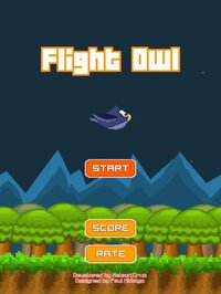 Flight Owl screenshot, image №1850466 - RAWG