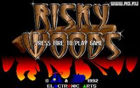 Risky Woods screenshot, image №320841 - RAWG
