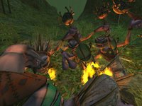 Asheron's Call 2: Fallen Kings screenshot, image №367789 - RAWG