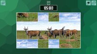 Easy puzzle: Animals 2 screenshot, image №2525451 - RAWG