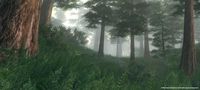 The Elder Scrolls IV: Oblivion Game of the Year Edition screenshot, image №138529 - RAWG