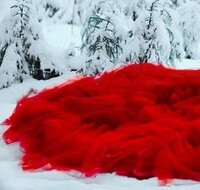 Blood on Snow screenshot, image №3373911 - RAWG