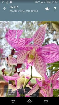 Jigsaw Puzzle: Flowers screenshot, image №1497467 - RAWG