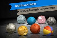 Natural Basketball Free screenshot, image №1802733 - RAWG