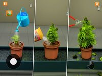 Weed Growing: Bud Farm Games screenshot, image №3885673 - RAWG