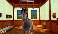 My Riding Stables 3D - Jumping for the Team screenshot, image №243847 - RAWG