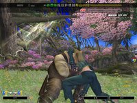 Dead or Alive Online screenshot, image №480261 - RAWG