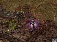 EverQuest: Lost Dungeons of Norrath screenshot, image №370492 - RAWG