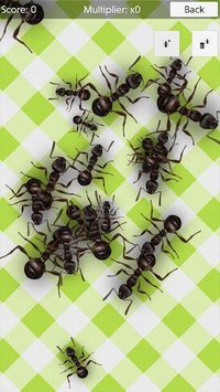 No More Ants (free) - squash screenshot, image №1546810 - RAWG