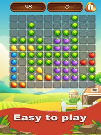 Fruit Block Fit Logic! screenshot, image №1619574 - RAWG