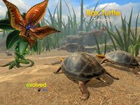 Box Turtle Simulator screenshot, image №2367070 - RAWG