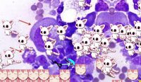 lunalaki the game screenshot, image №1759297 - RAWG