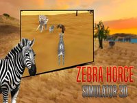 Zebra Horce Simulator 3D screenshot, image №1954843 - RAWG