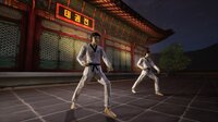 Taekwondo Demonstration Team Simulator screenshot, image №2676337 - RAWG