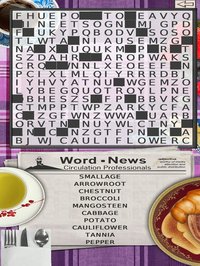 Word Search World 2.0 screenshot, image №1724235 - RAWG