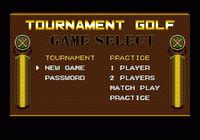 Arnold Palmer Tournament Golf screenshot, image №758346 - RAWG