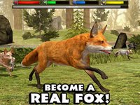 Ultimate Fox Simulator screenshot, image №1968011 - RAWG