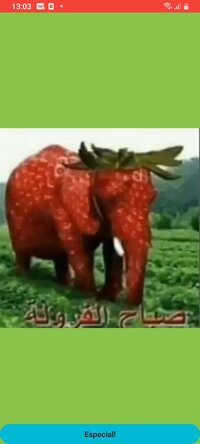 Misericórdia screenshot, image №3844711 - RAWG