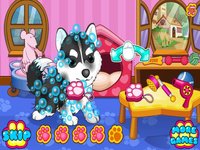 Cats & Dogs Grooming Salon—Dressup Game screenshot, image №963781 - RAWG