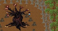 Althea and the Magical Fruit screenshot, image №1167603 - RAWG