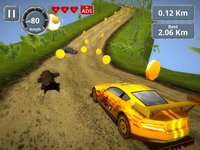 Rally Racing 3D screenshot, image №1756967 - RAWG