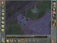 Baldur's Gate screenshot, image №317504 - RAWG